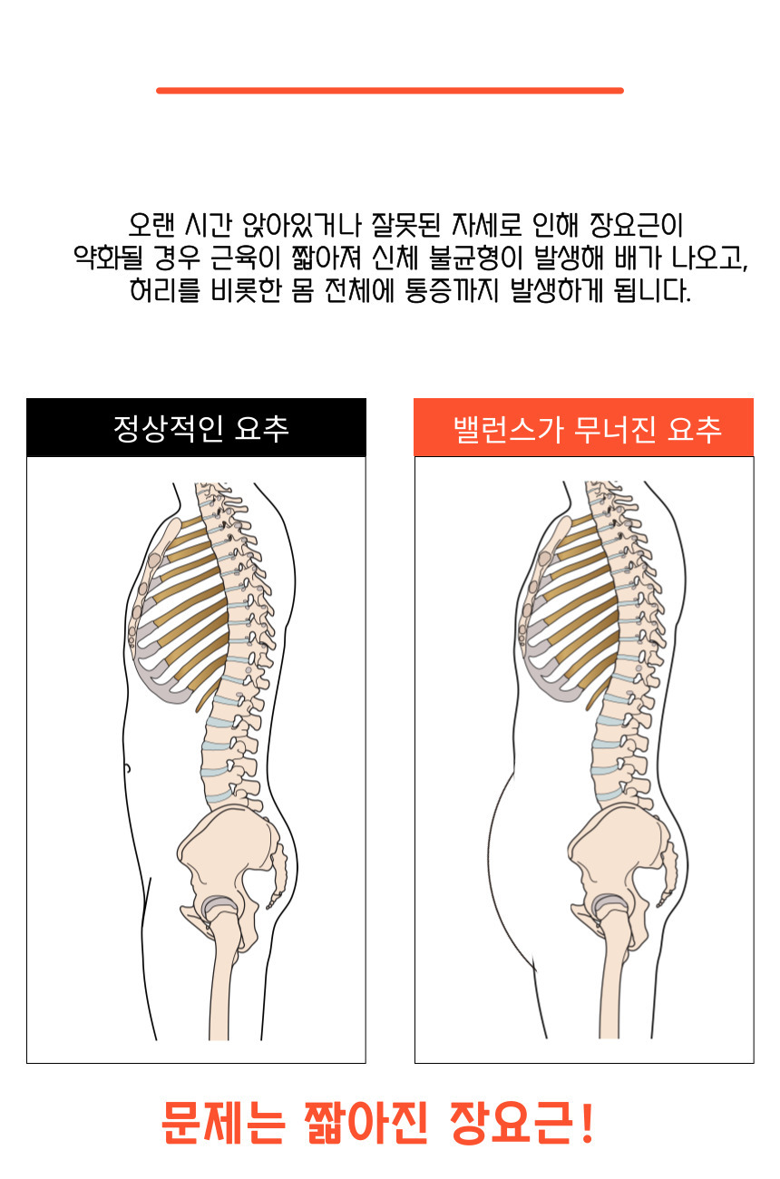 밸런스코어 장요근 마사지기 목 어깨 허리 복부 마사지 스트레칭 근막이완 도구